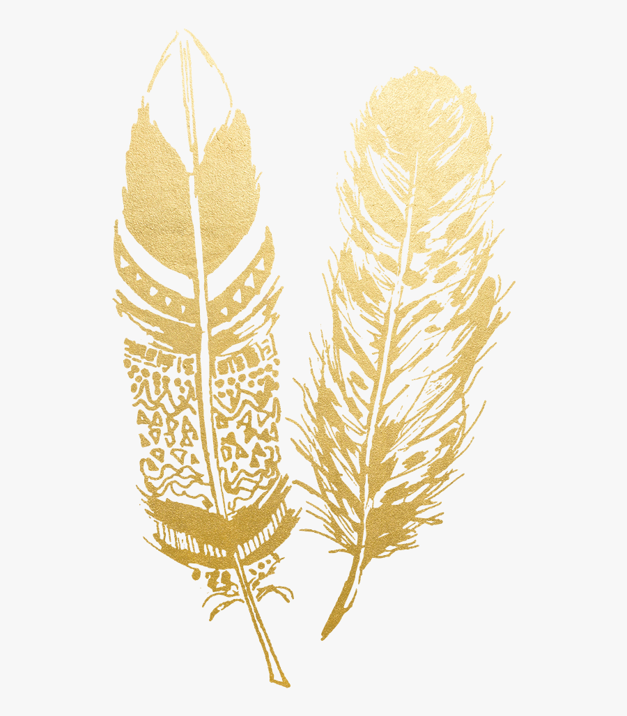 Gold Feathers Png, Transparent Clipart