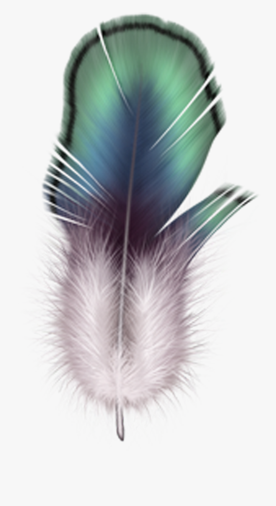 Firebird Feather Drawing - صور ريشة ديكور, Transparent Clipart