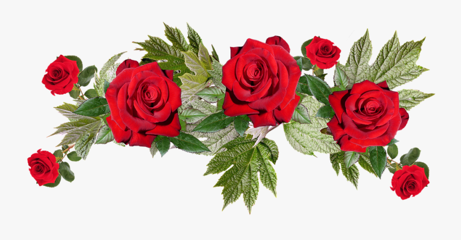 Roses, Red, Flower, Arrangement, Anniversary, Bouquet - Rose Transparent Background Flowers Png, Transparent Clipart