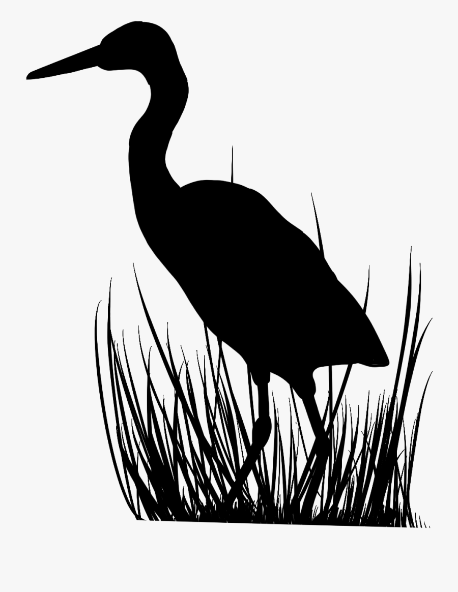 Ciconiiformes, Transparent Clipart