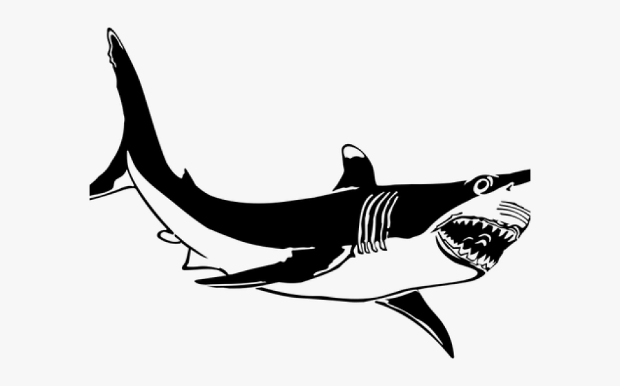 Tiger Shark Clipart Public Domain - Shark Png Black And White, Transparent Clipart