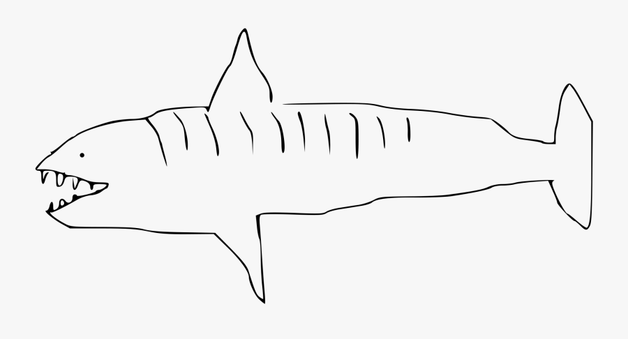 Tiger Shark , Png Download - Tiger Shark Simple Drawing, Transparent Clipart