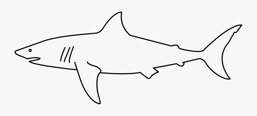 Great White Shark, Transparent Clipart