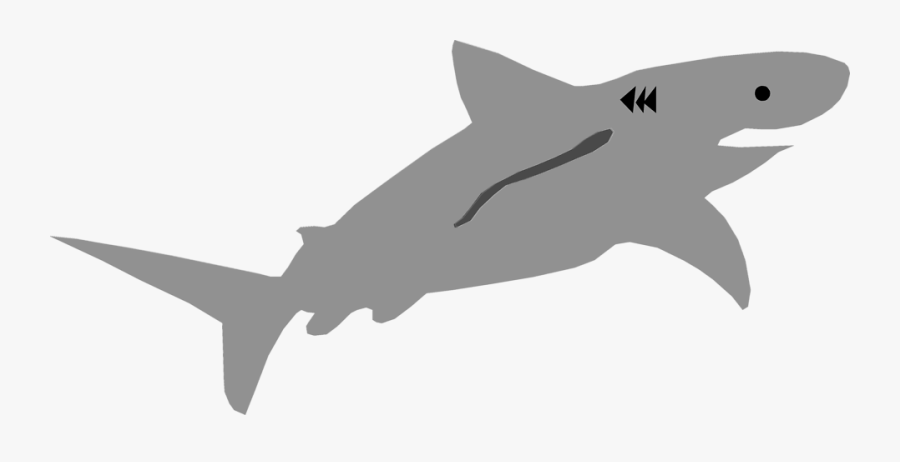 Free Stock Photo Illustration - Shark Free Clipart Transparent Background, Transparent Clipart