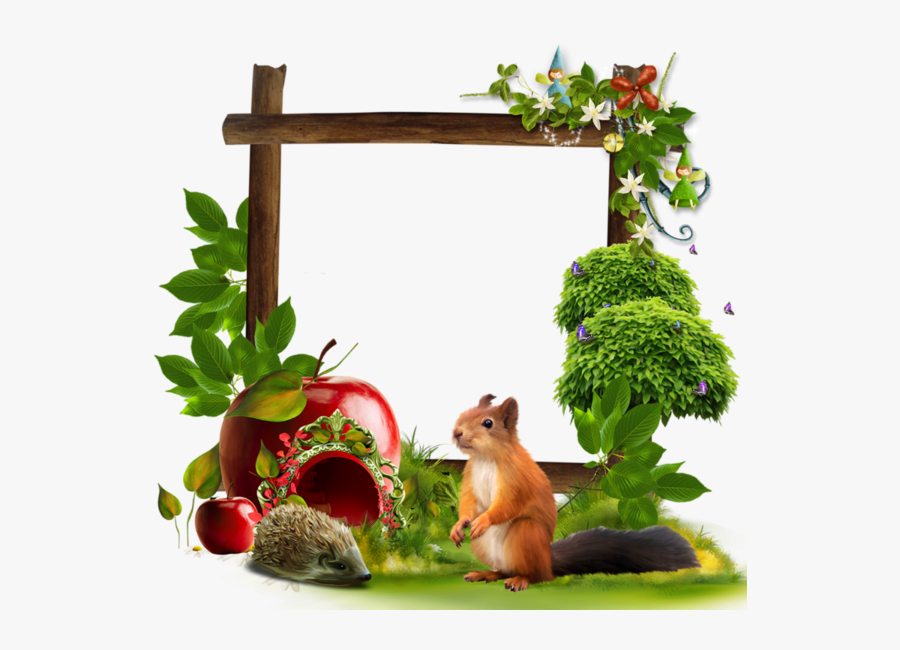 Woodland Frame - Cadre Animaux Png, Transparent Clipart