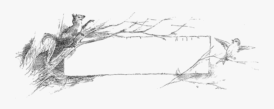 Woodland Frame - Line Art, Transparent Clipart