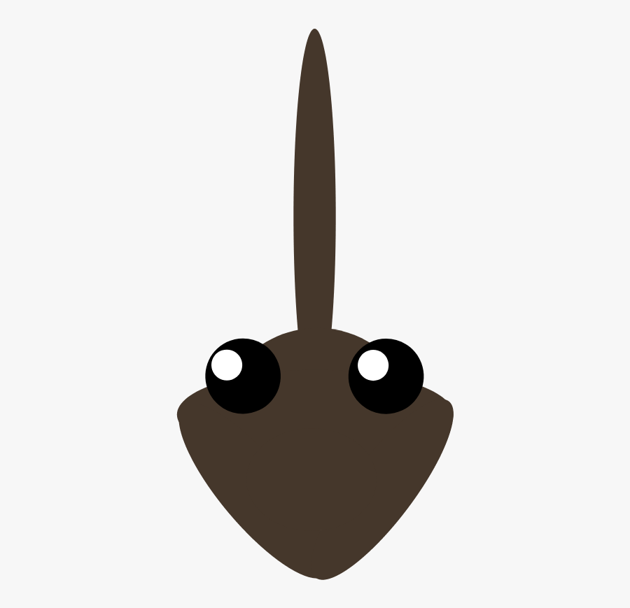 Transparent Eel Invisible - Cartoon, Transparent Clipart