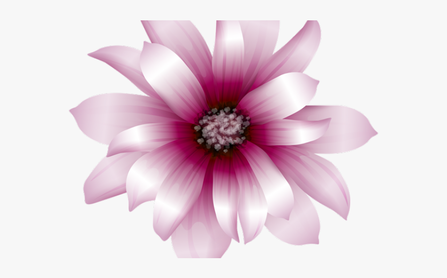 Pink Rose Clipart Invisible Background - A4 Page Border Design, Transparent Clipart