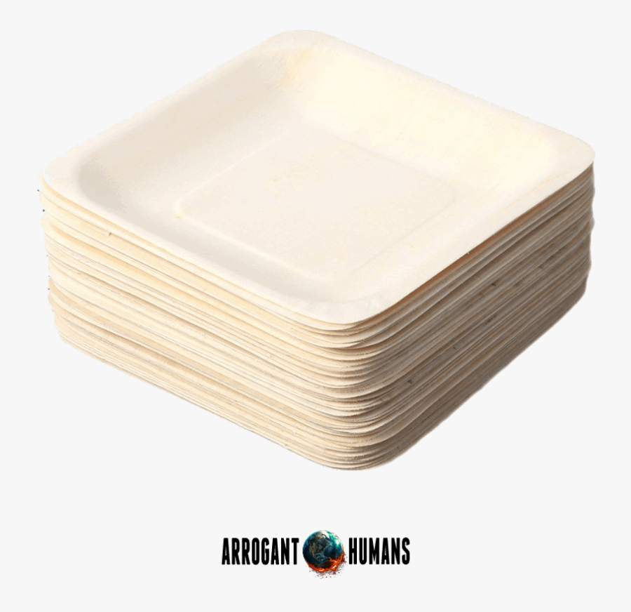 Transparent Paper Plate Png - Knowing Movie, Transparent Clipart