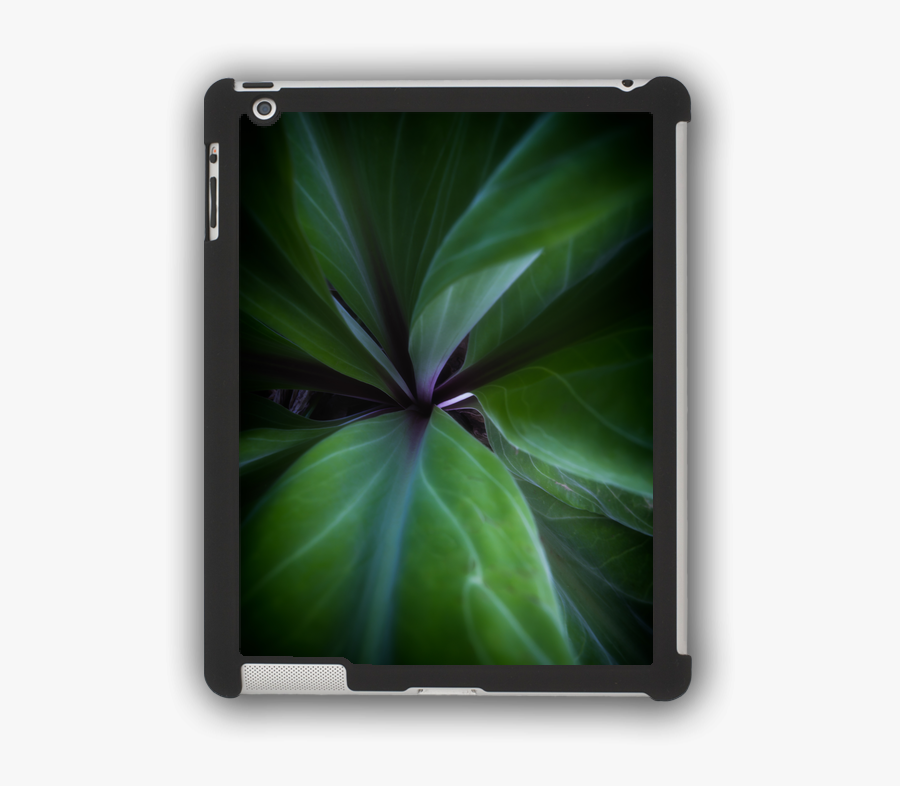 Immersed ~ Elements Of Nature Collection - Mobile Phone, Transparent Clipart