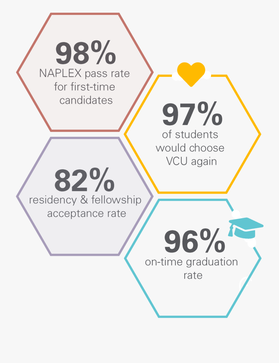 Diagram, Transparent Clipart
