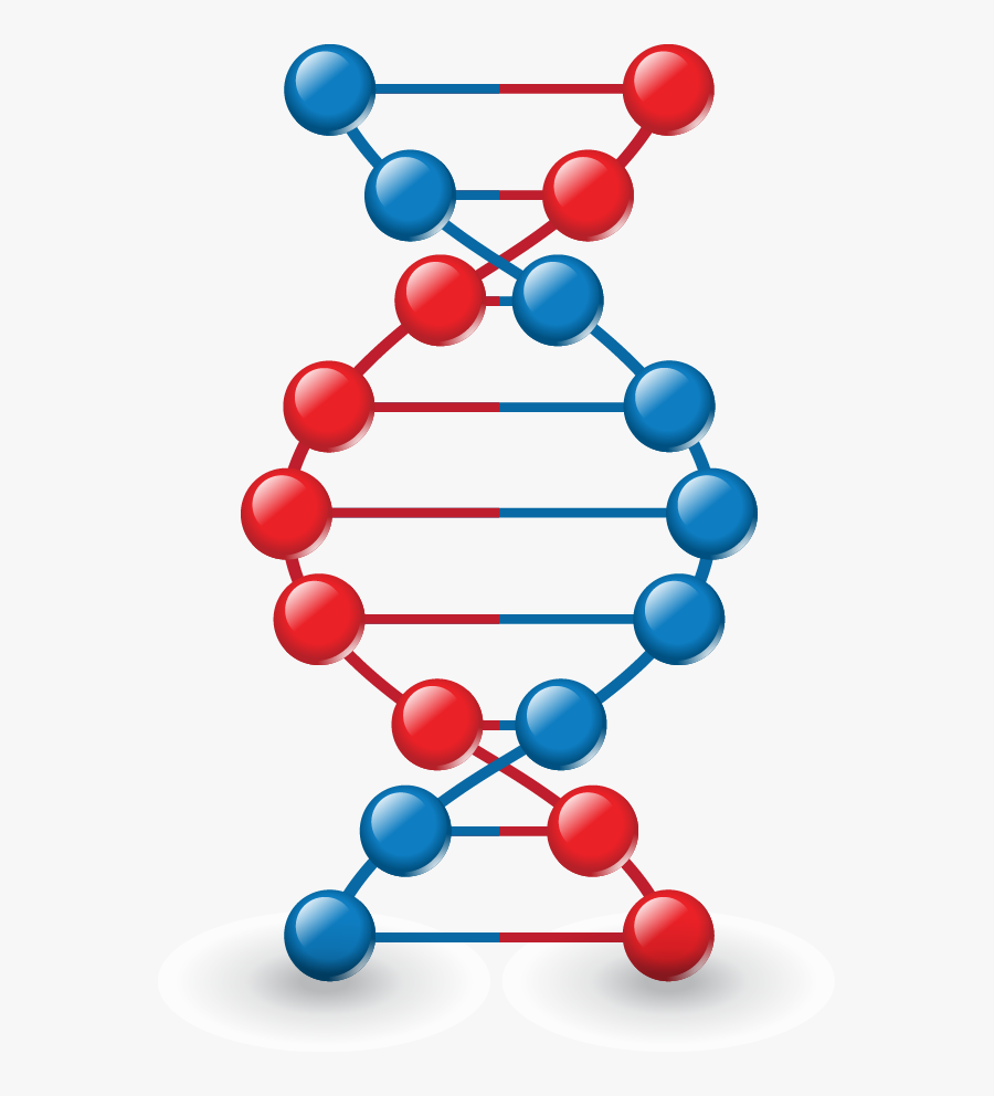 Png Images, Pngs, Dna, Dna Strand, Forensics, - Imagenes Del Modelo Del Adn, Transparent Clipart