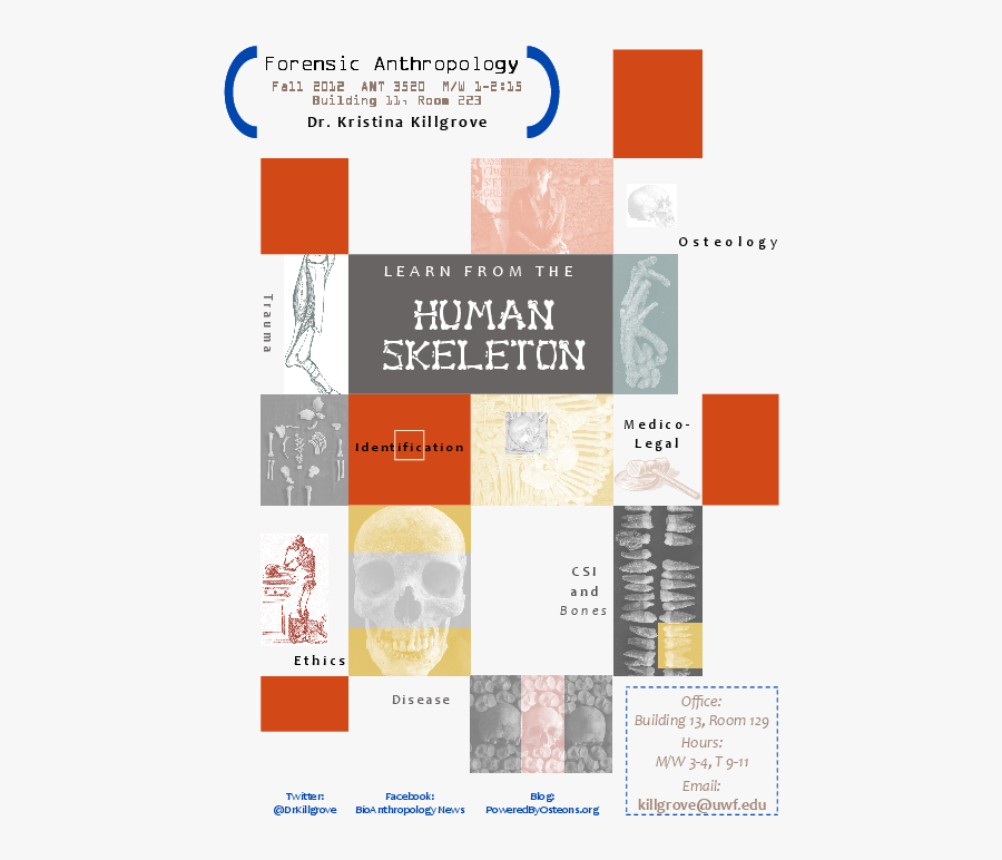 Paleontology, Transparent Clipart