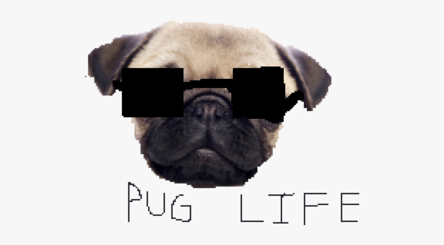 Png Pug Life, Transparent Clipart