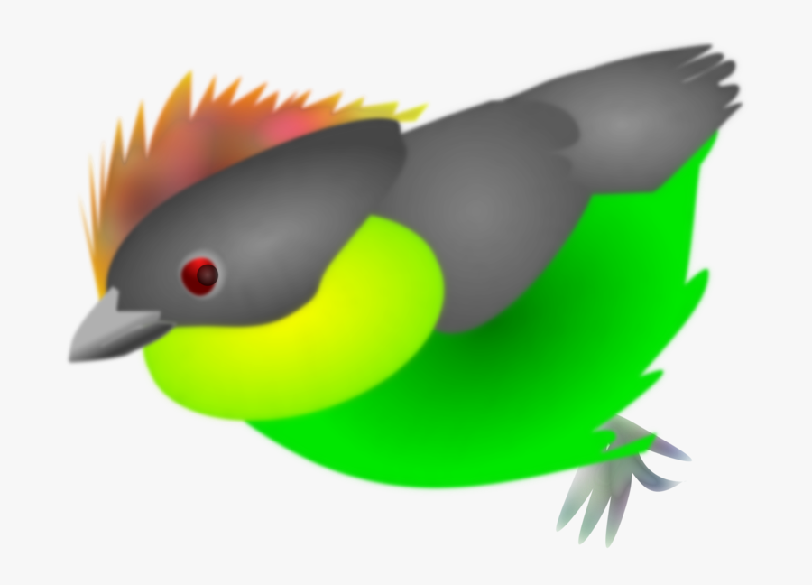 Finch, Bird, Colombia, Exotic - Clip Art, Transparent Clipart