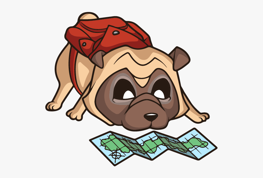 Bb Pl Curious Pug-01 - Cartoon, Transparent Clipart