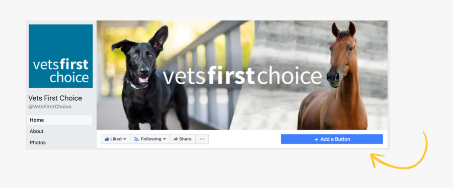 Transparent Facebook Share Button Png - Formosan Mountain Dog, Transparent Clipart