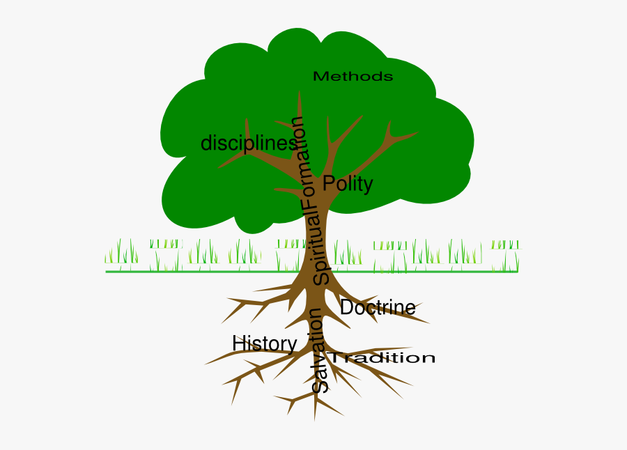 Trees With Roots Clipart, Transparent Clipart