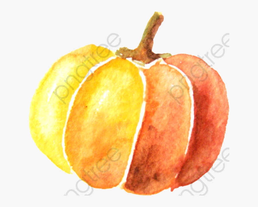 Pumpkin Clipart Watercolor - Transparent Background Pumpkin Clipart, Transparent Clipart
