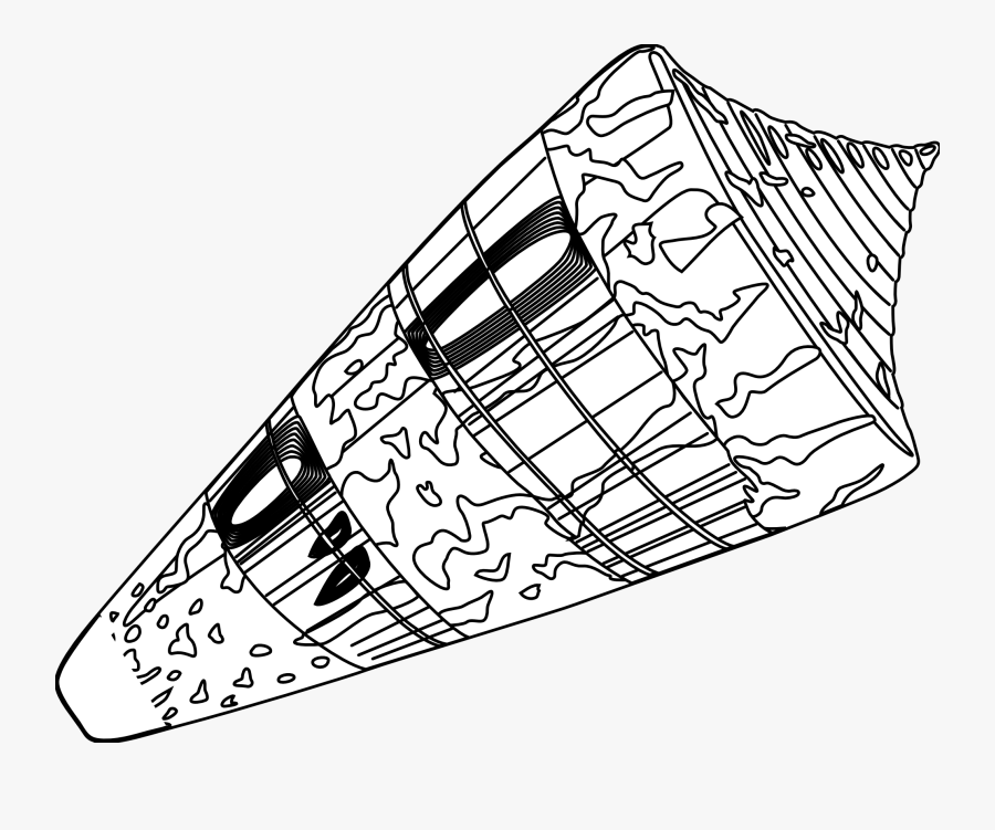 Seashell Graphics - Clipart Best - Technical Drawing, Transparent Clipart