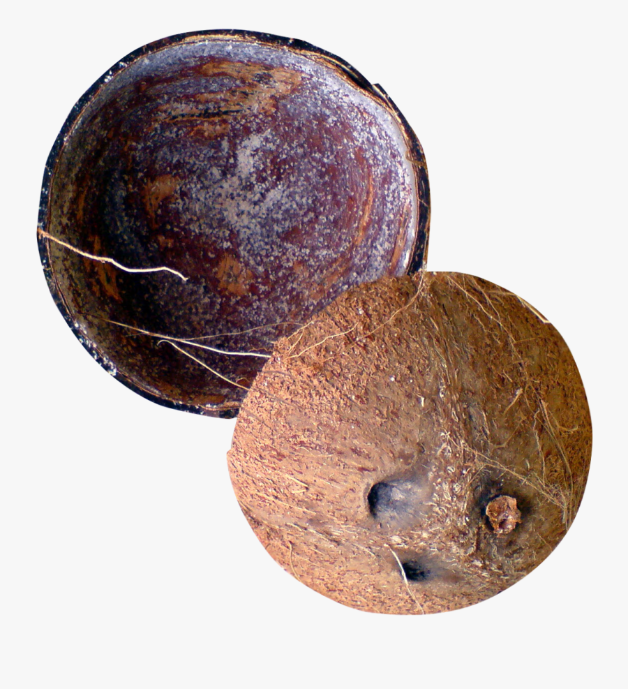 Coconut Shell Png Transparent Image - Coconut Shell Png, Transparent Clipart