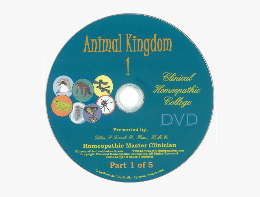 Transparent Animal Kingdom Png - Cd, Transparent Clipart