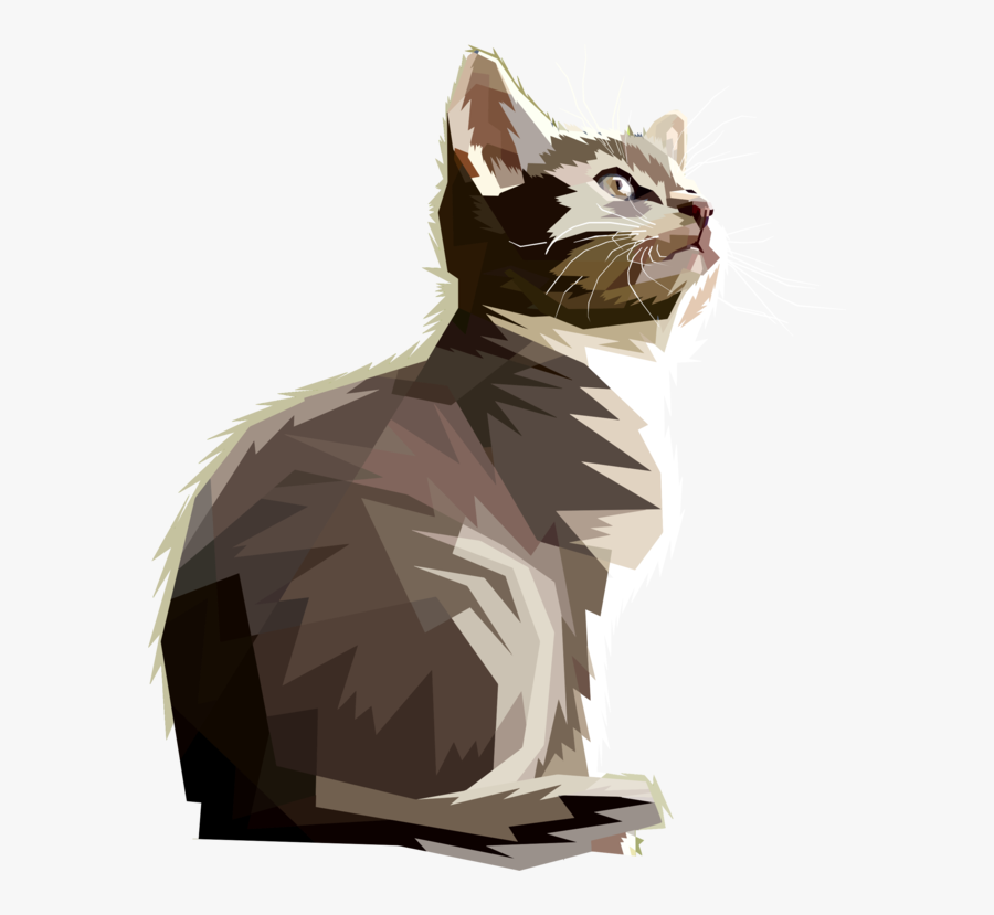 Carnivore,art,felidae - Asian, Transparent Clipart