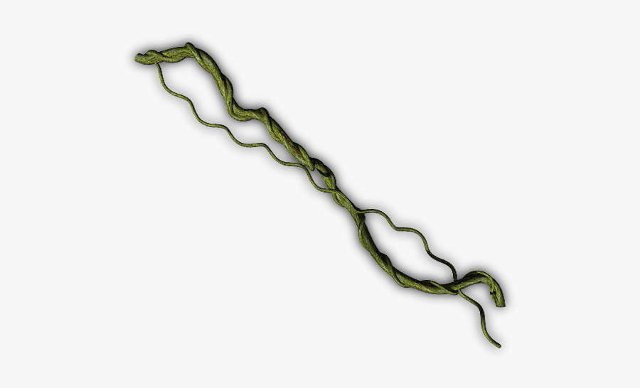 Jungle Vines No Background, Transparent Clipart