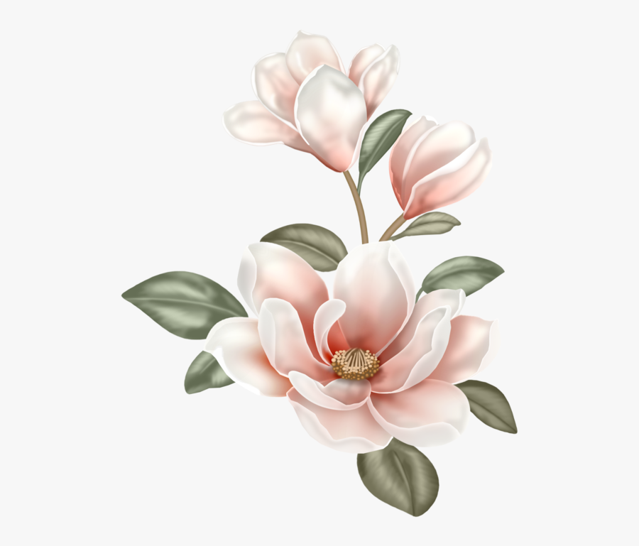 Flower Clip Art Boho , Png Download - Magnolia Watercolor Clip Art, Transparent Clipart