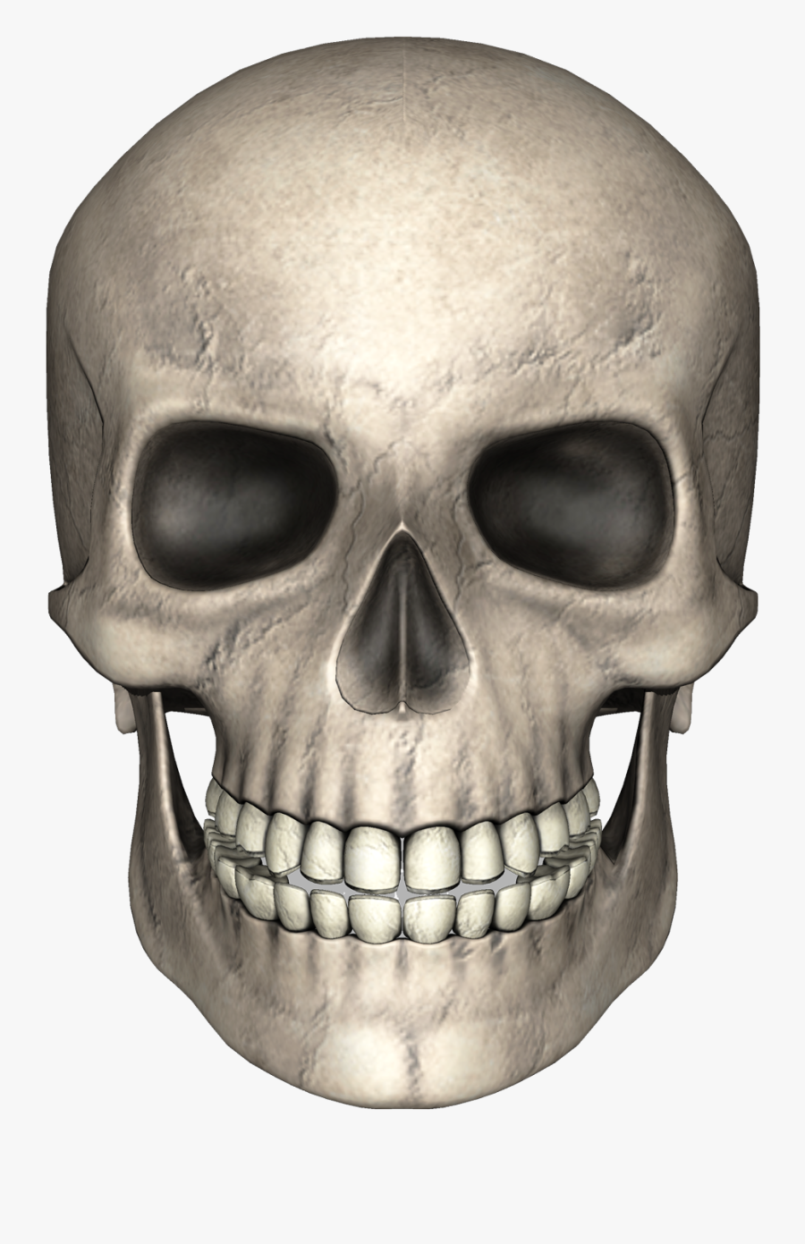 Skull Images Free Download - Skull Png, Transparent Clipart