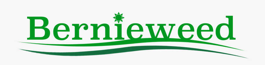 Graphic Design, Transparent Clipart