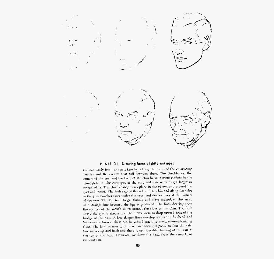 Andrew Loomis Drawing The Head And Hands 55 - Line Art, Transparent Clipart