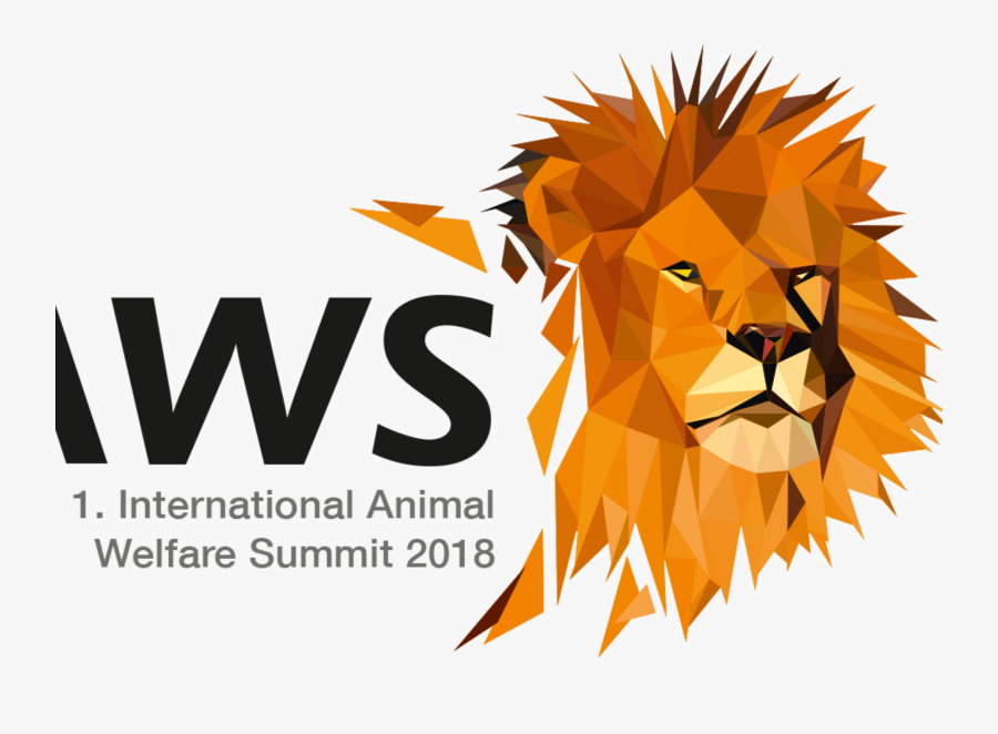 Masai Lion, Transparent Clipart