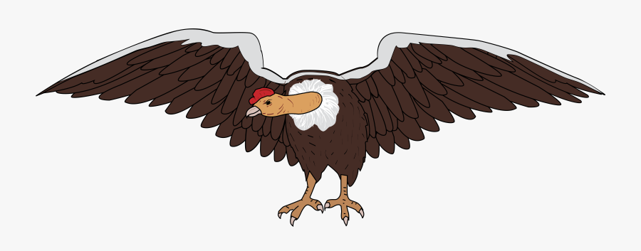 Clipart Condor - Condor Png, Transparent Clipart