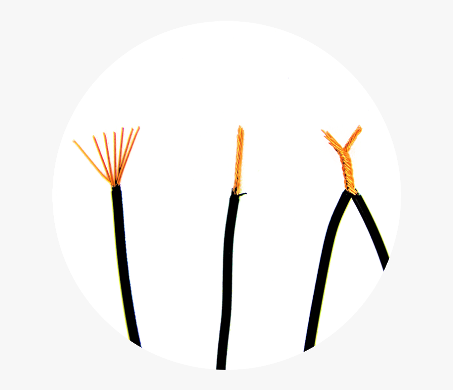 Circle, Transparent Clipart