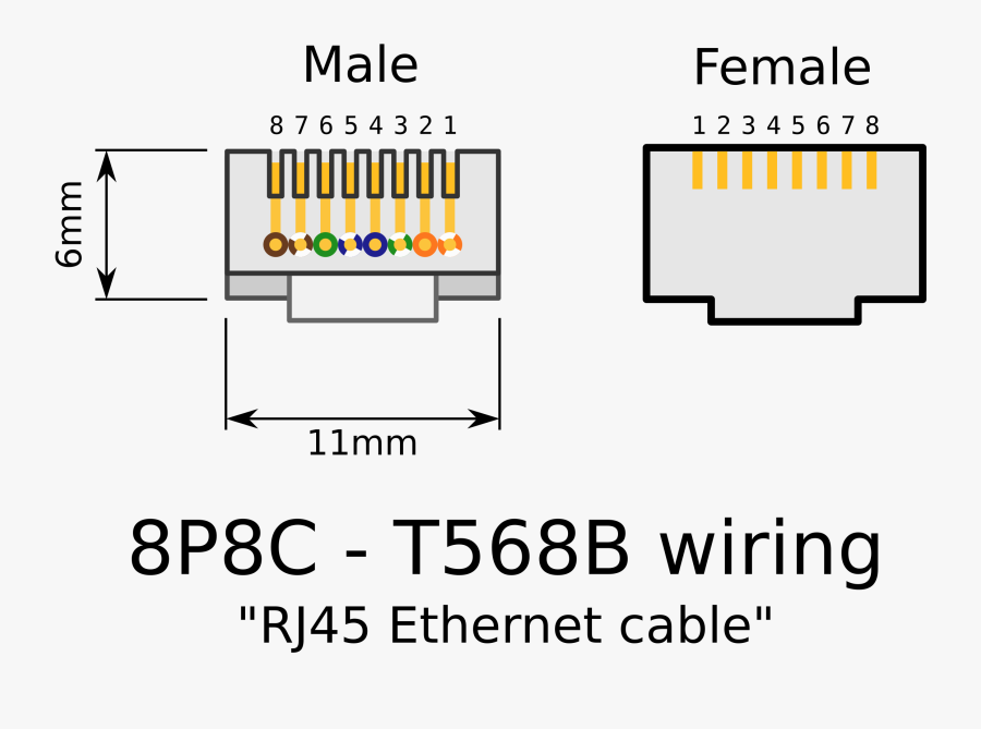 Transparent Wires Clipart - Rj 11 6p2c, Transparent Clipart