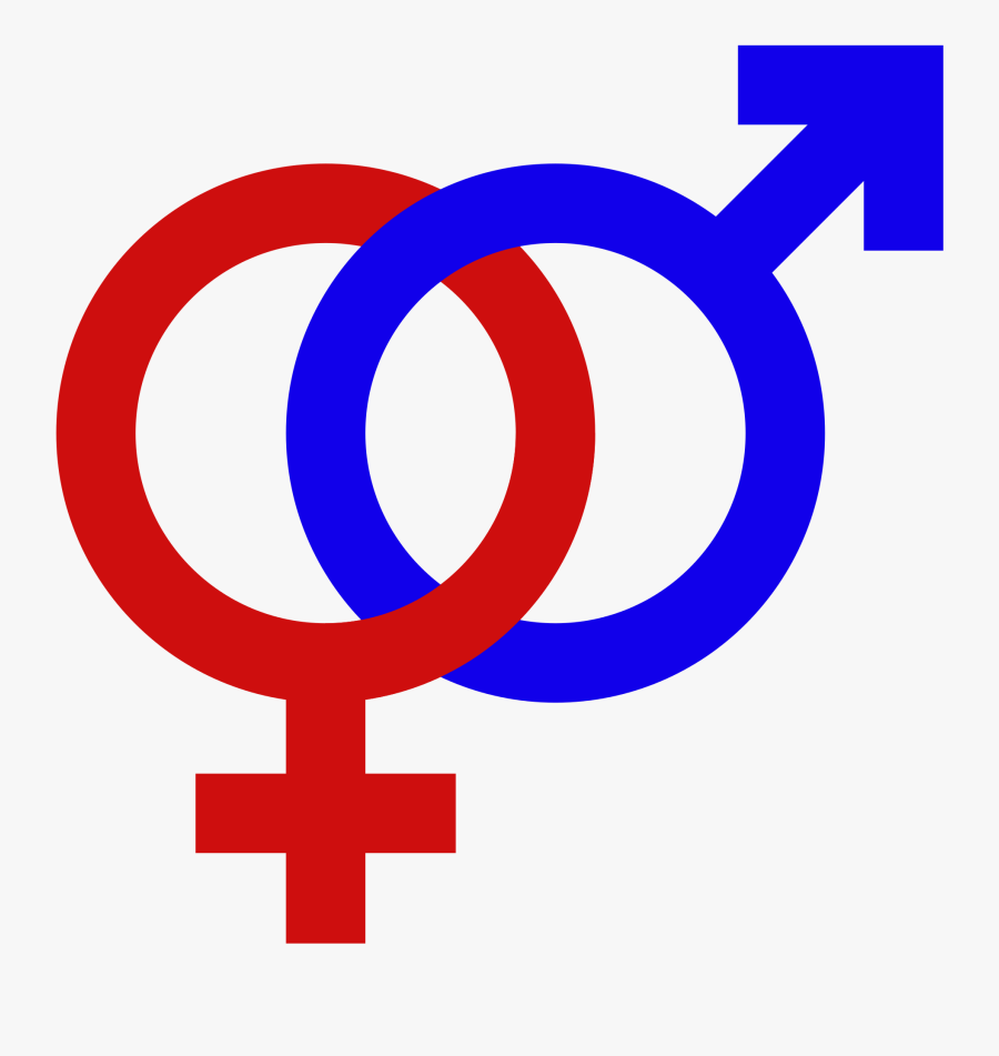 Male Female Gender Signs Gender Symbol Set Male Female - Male And Female Symbol Png, Transparent Clipart