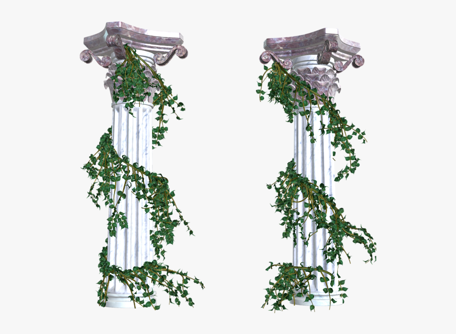 Transparent Vine Png - Greek Columns With Vines, Transparent Clipart