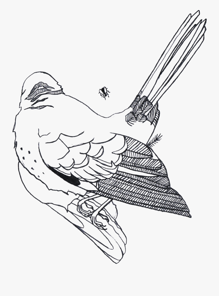 Drawing At Getdrawings Com - Sketch, Transparent Clipart
