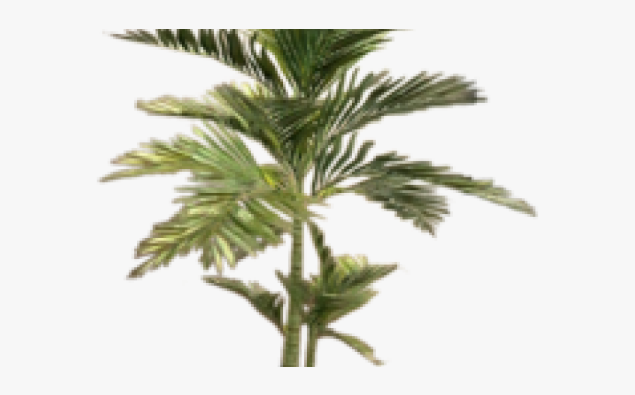 Sims 4 Big Potted Plants, Transparent Clipart