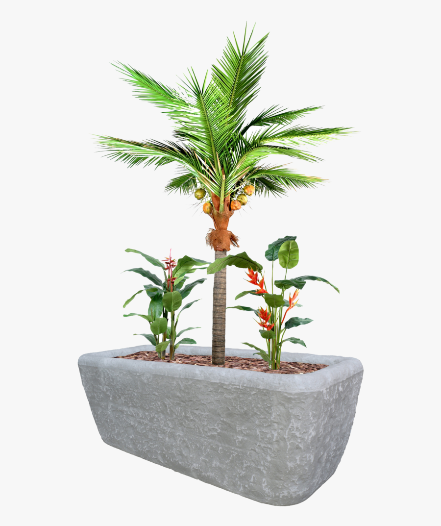 Transparent Coco Chanel Clipart - Plante De Coco, Transparent Clipart