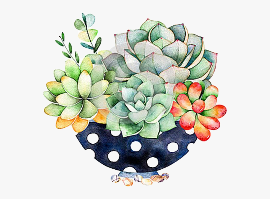 #succulents #cactus #flowerarrangement #handdrawn #watercolor - Watercolor Art Potted Succulent, Transparent Clipart