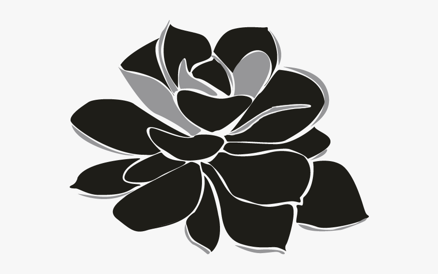 Tagetes Patula, Transparent Clipart