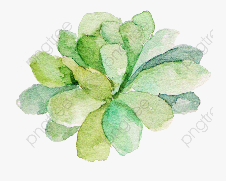 Watercolor Clipart Succulent - Transparent Background Succulent Clipart, Transparent Clipart