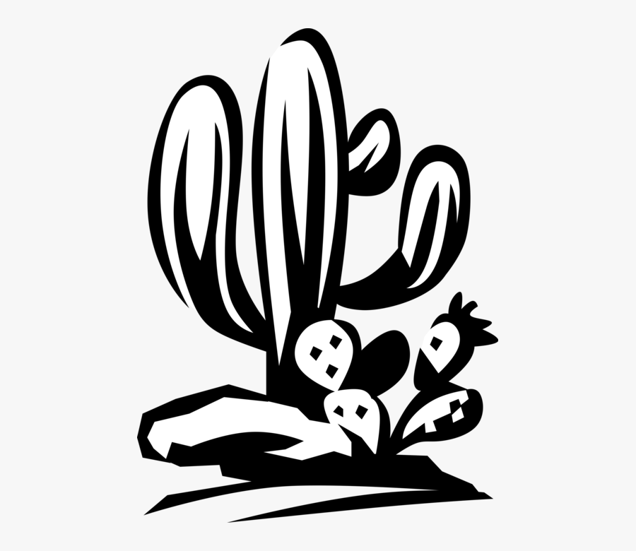 Vector Illustration Of Desert Vegetation Succulent - Illustration, Transparent Clipart