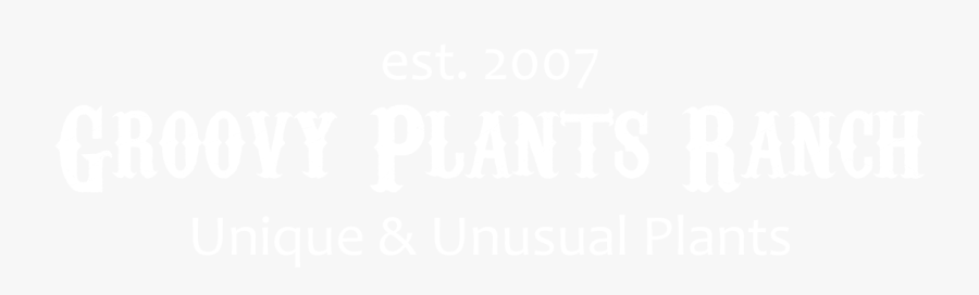 Home Slider Gpr - Graphics, Transparent Clipart