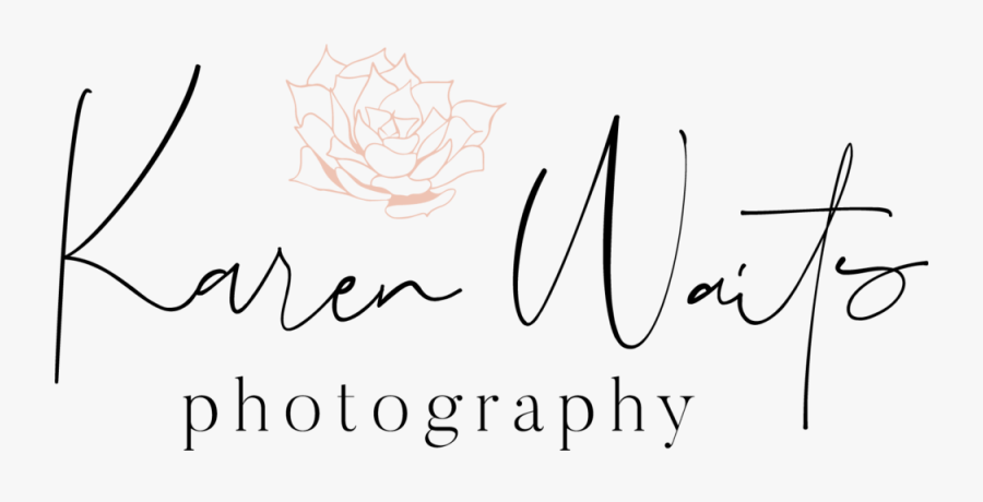 Primary Logo With Pink Succulent, Transparent Clipart