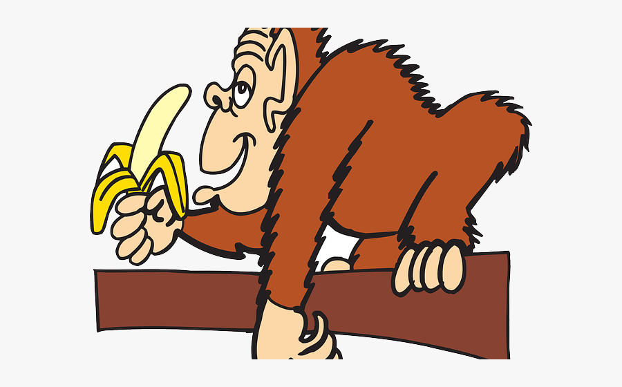 “cada Macaco No Seu Galho” - Ape Pictures Clip Art, Transparent Clipart