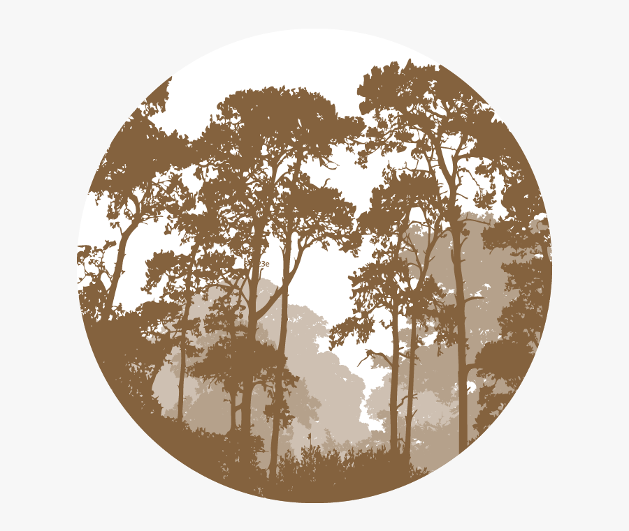 Vector Graphics Illustration Forest Landscape Silhouette - Landscape Forest Vector, Transparent Clipart