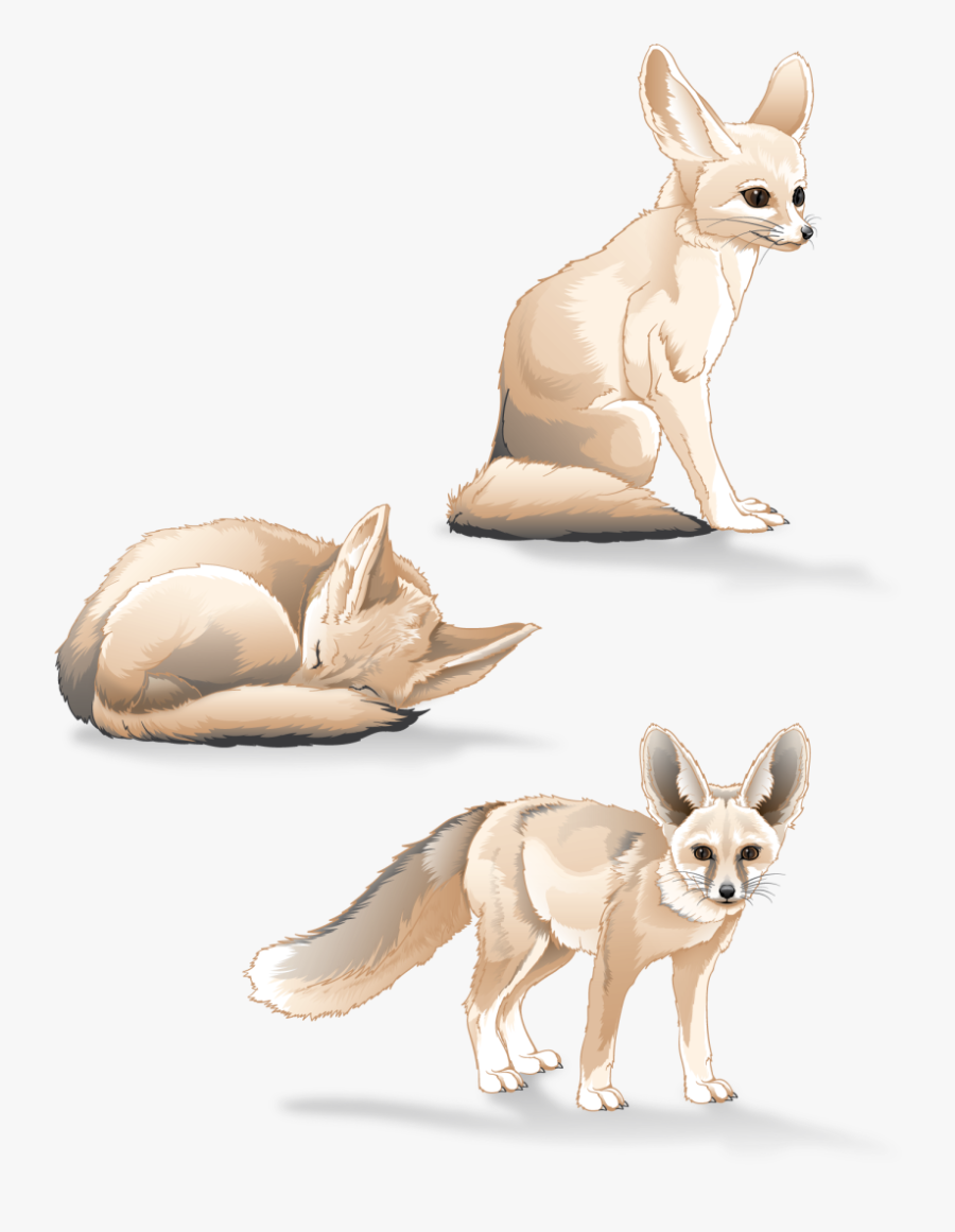 Fennec Fox Study - Fennec Fox, Transparent Clipart